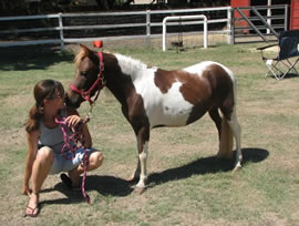 pony kissing girl