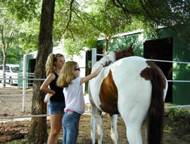 kids grooming a horse