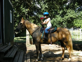 girl on horse getting a drink