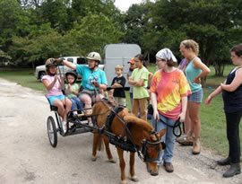 kids in cart and horse